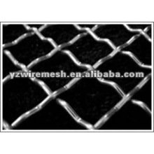 2012 new type HQ Double Crimp Wire Mesh